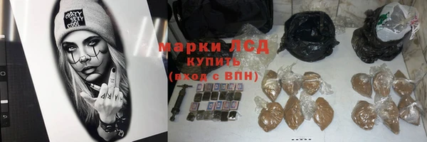 стафф Алзамай