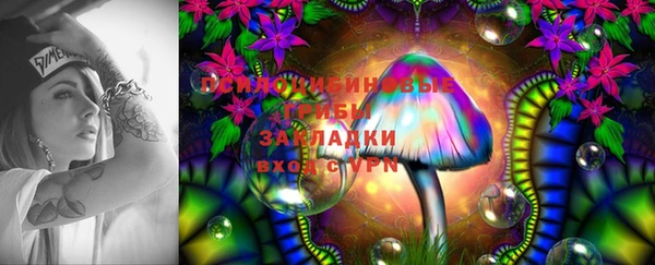 прущая мука Алексин